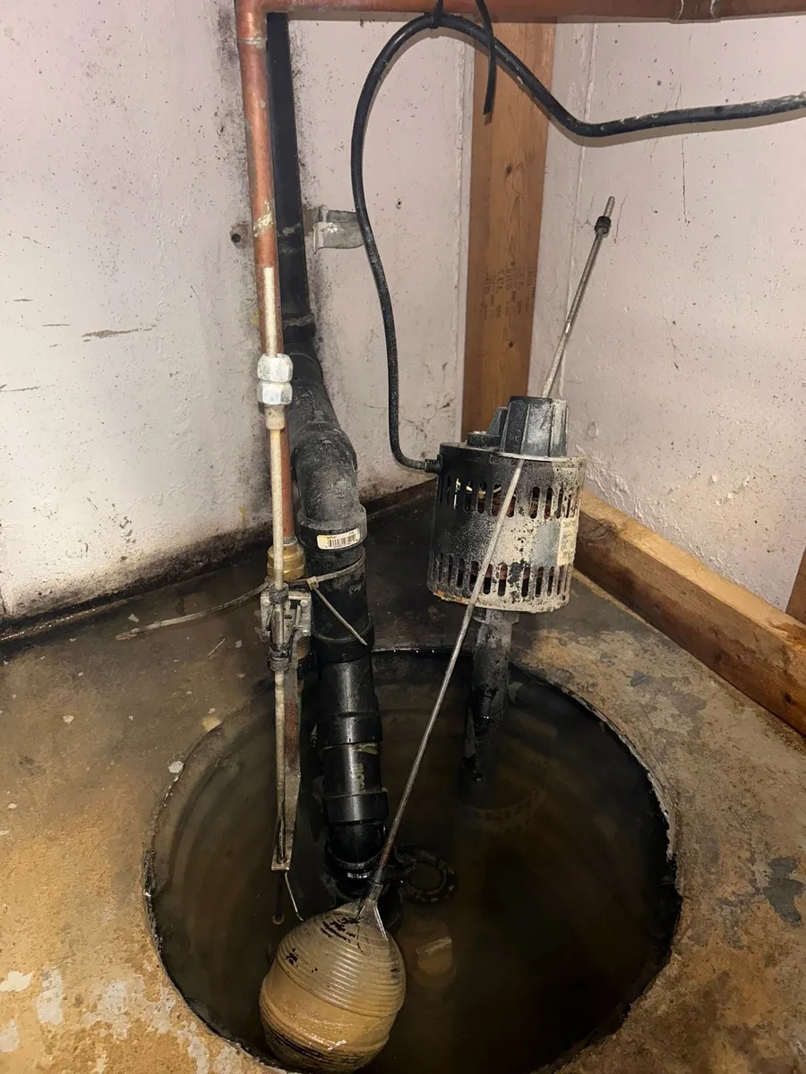Professional Plumber in Richmond Hill