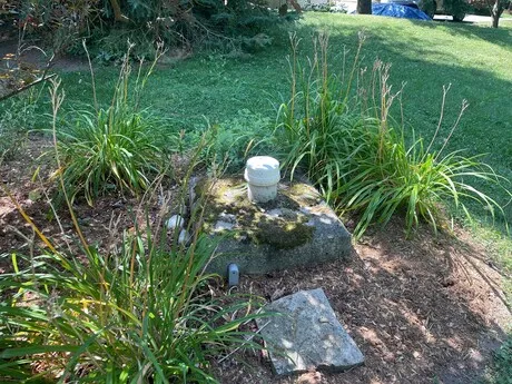 well pump repair